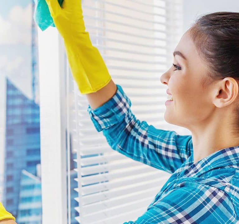 Windows Cleaning